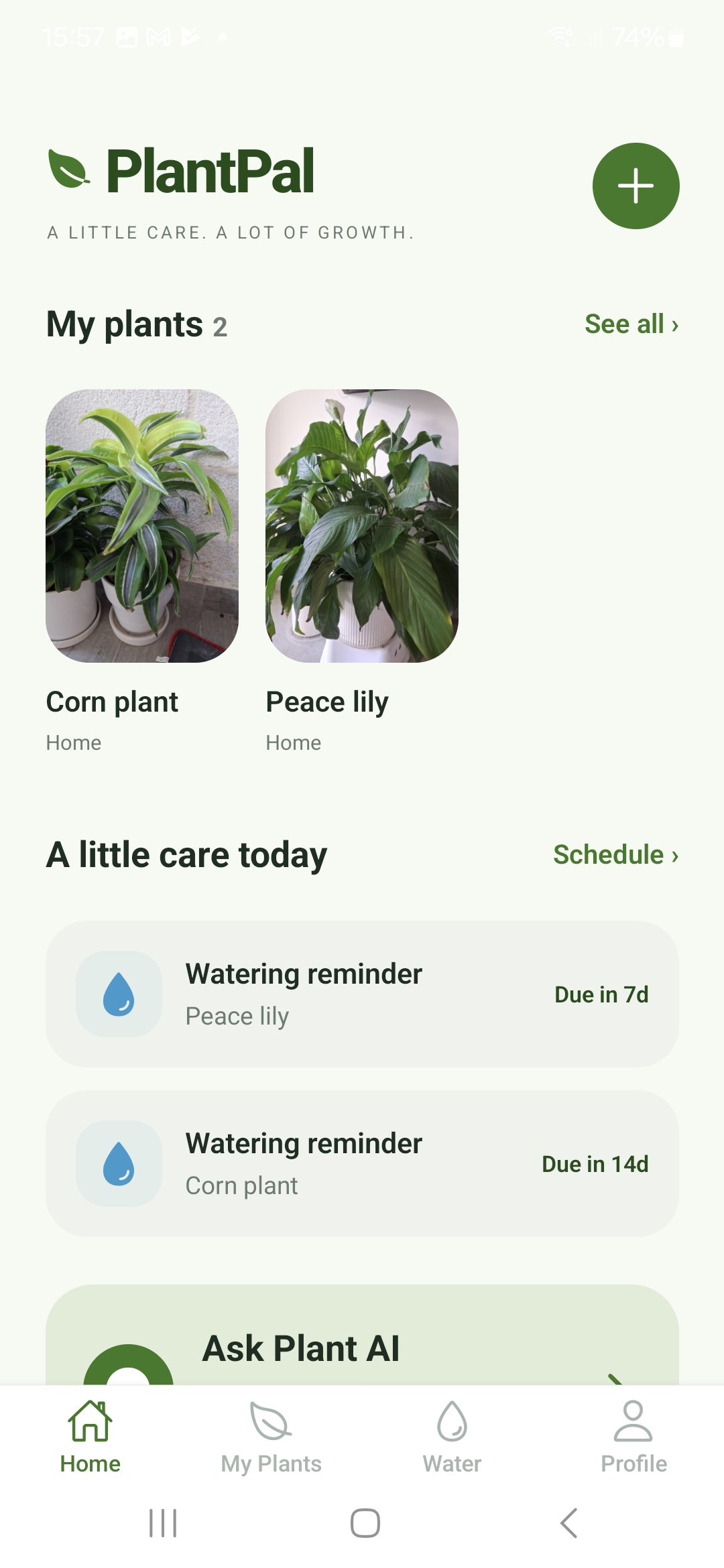 PlantPal home screen showing plants and upcoming watering reminders